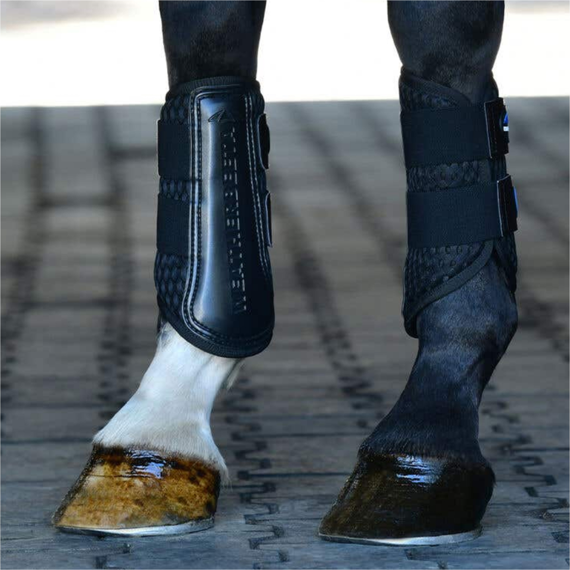 2025 Weatherbeeta Tough-Tec Mesh Brushing Boots 1027504 - Black / Black
